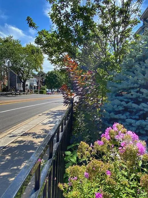 Appartement Bright Studio W Full Kitchen And Detached Bathroom Toronto